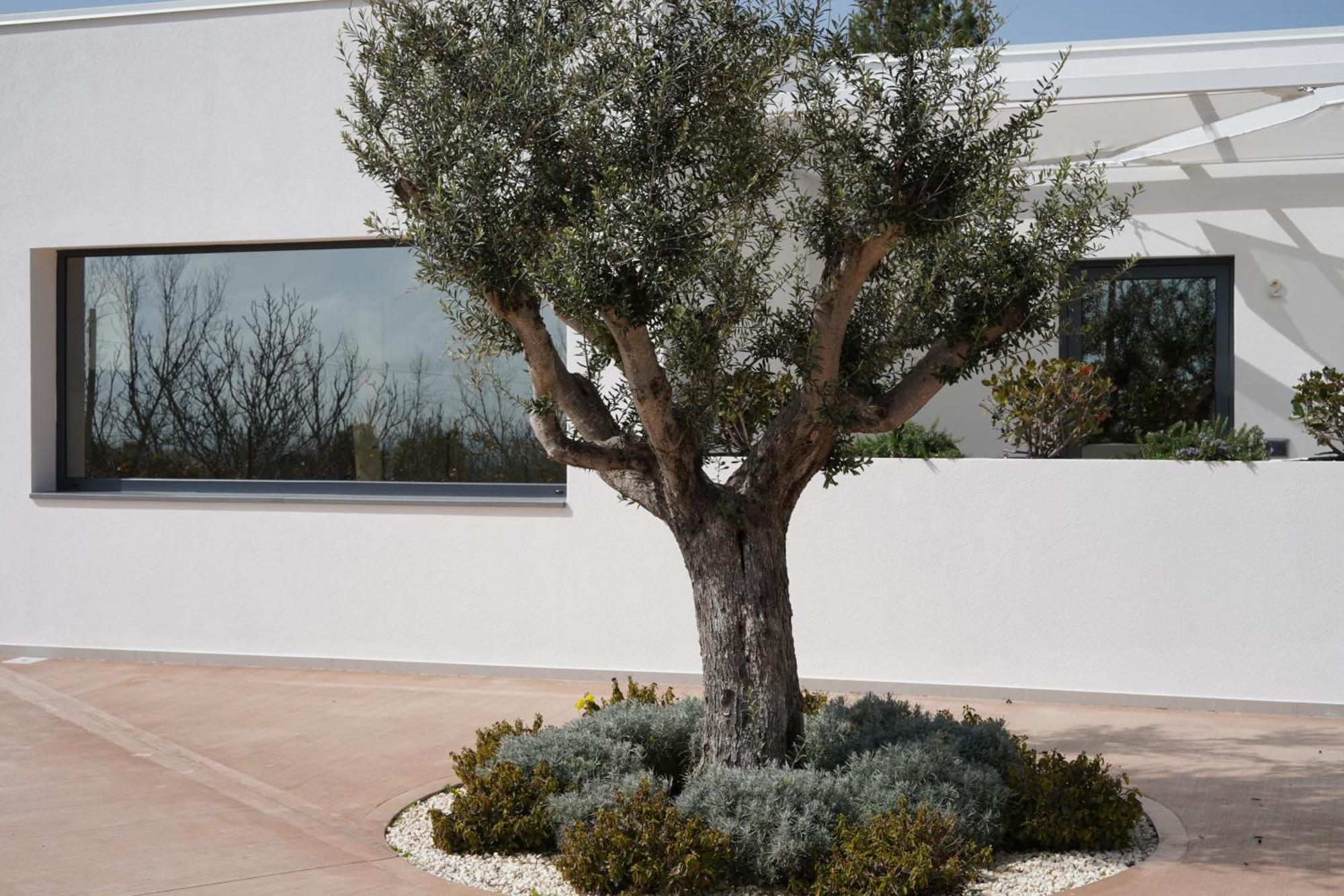 Tenuta San Marco Noto Esterno foto